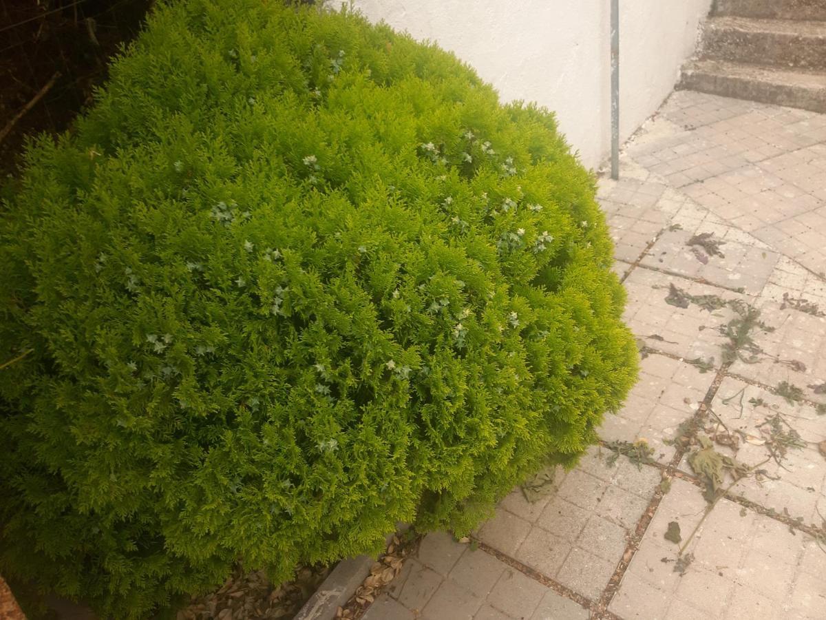 Mane Apartments Saranda Zewnętrze zdjęcie