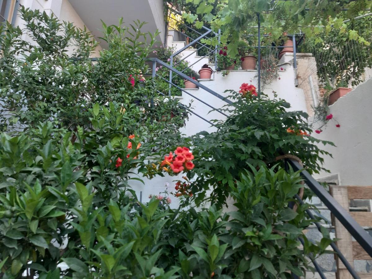 Mane Apartments Saranda Zewnętrze zdjęcie